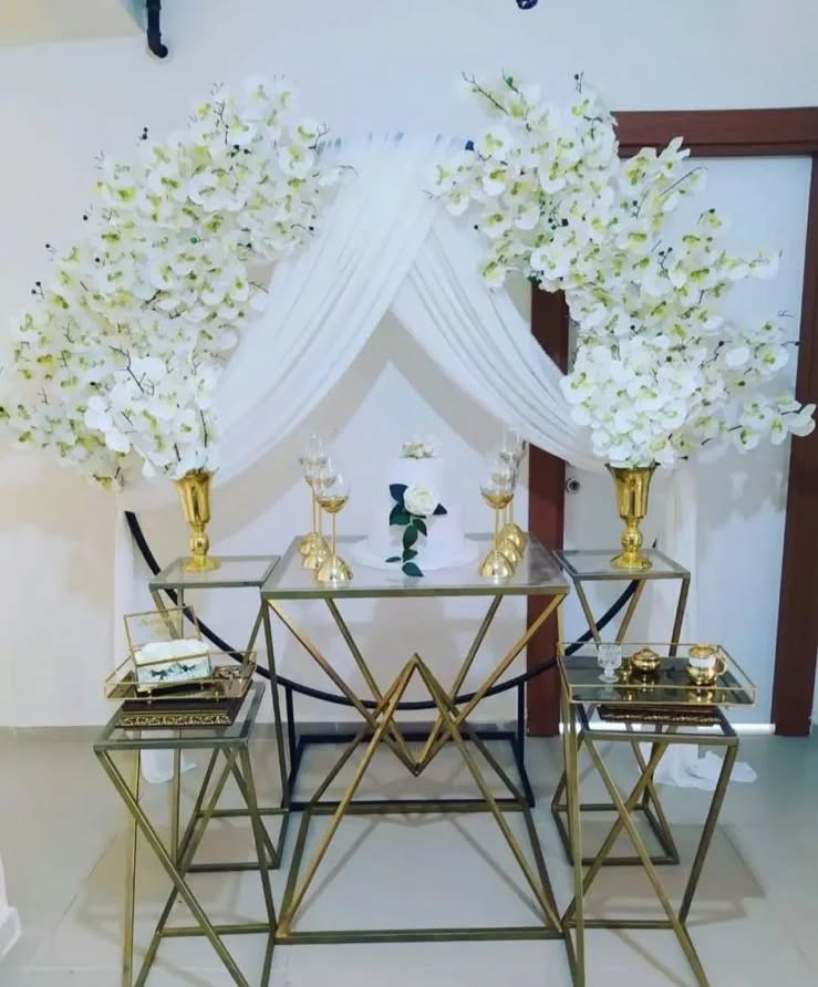 Deniz Yıldızı Organizasyon